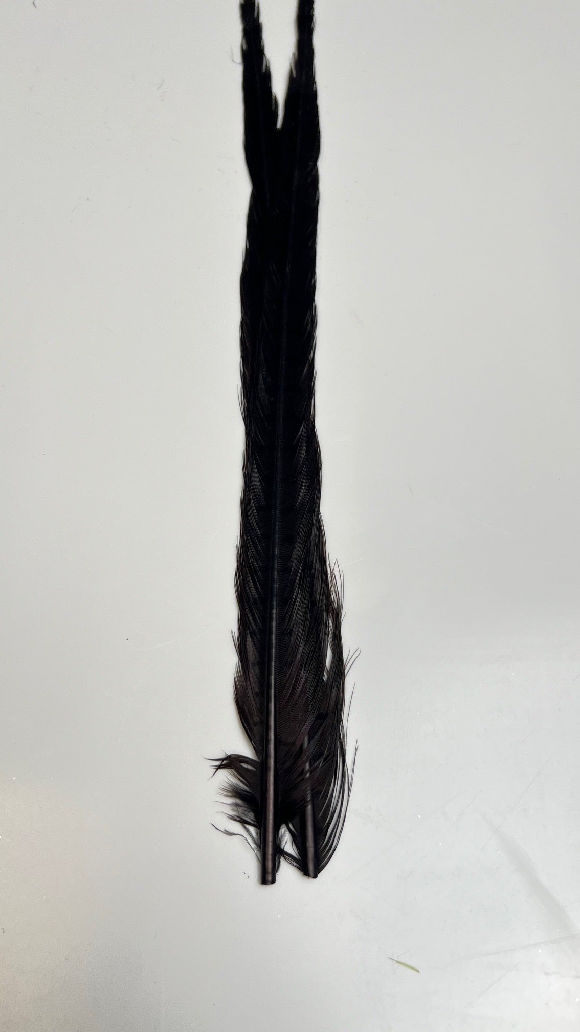 Pheasant Tail Center Pairs - Feathers & Marabou - Fly Fish Food