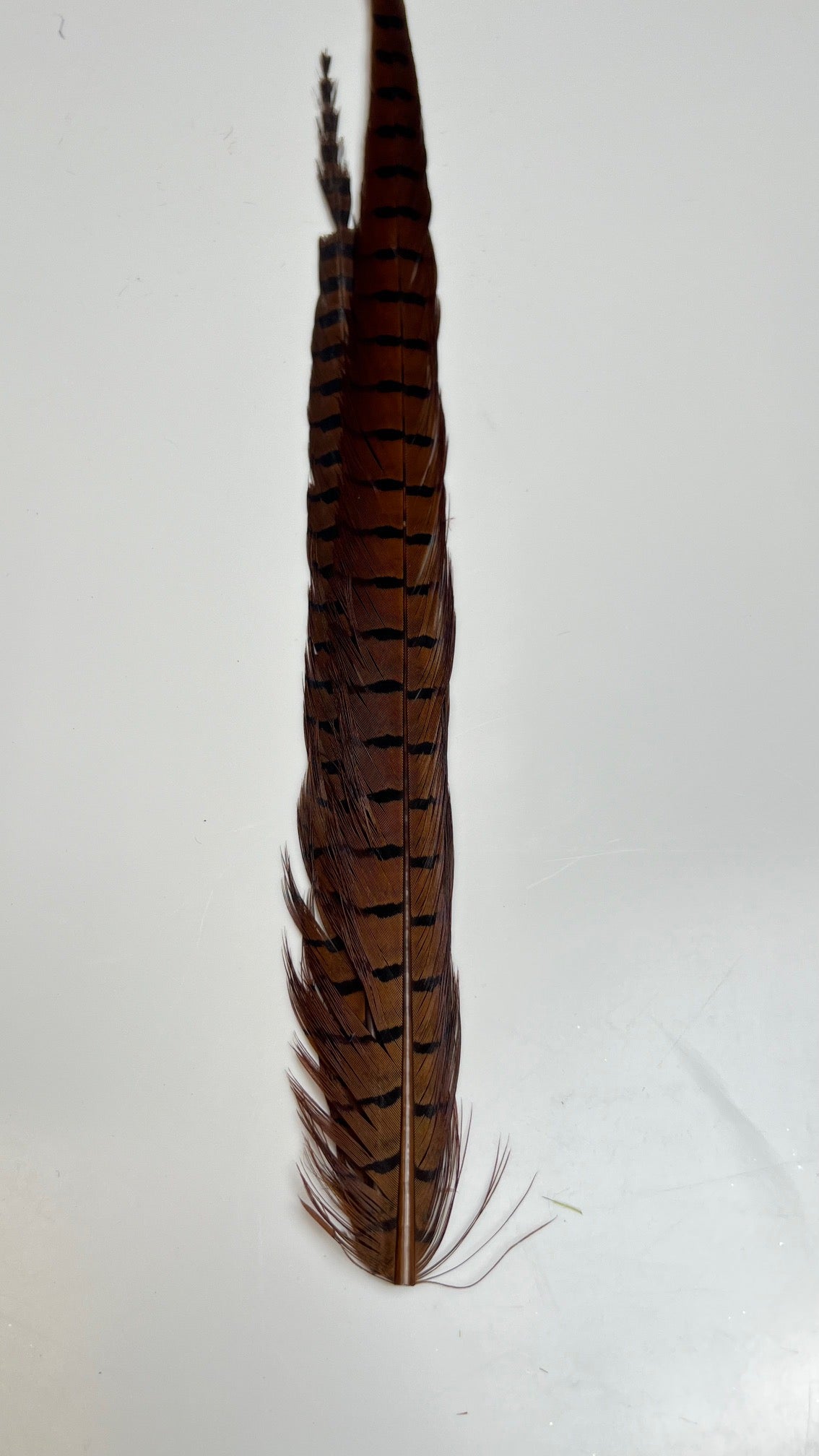 Pheasant Tail Center Pairs - Feathers & Marabou - Fly Fish Food