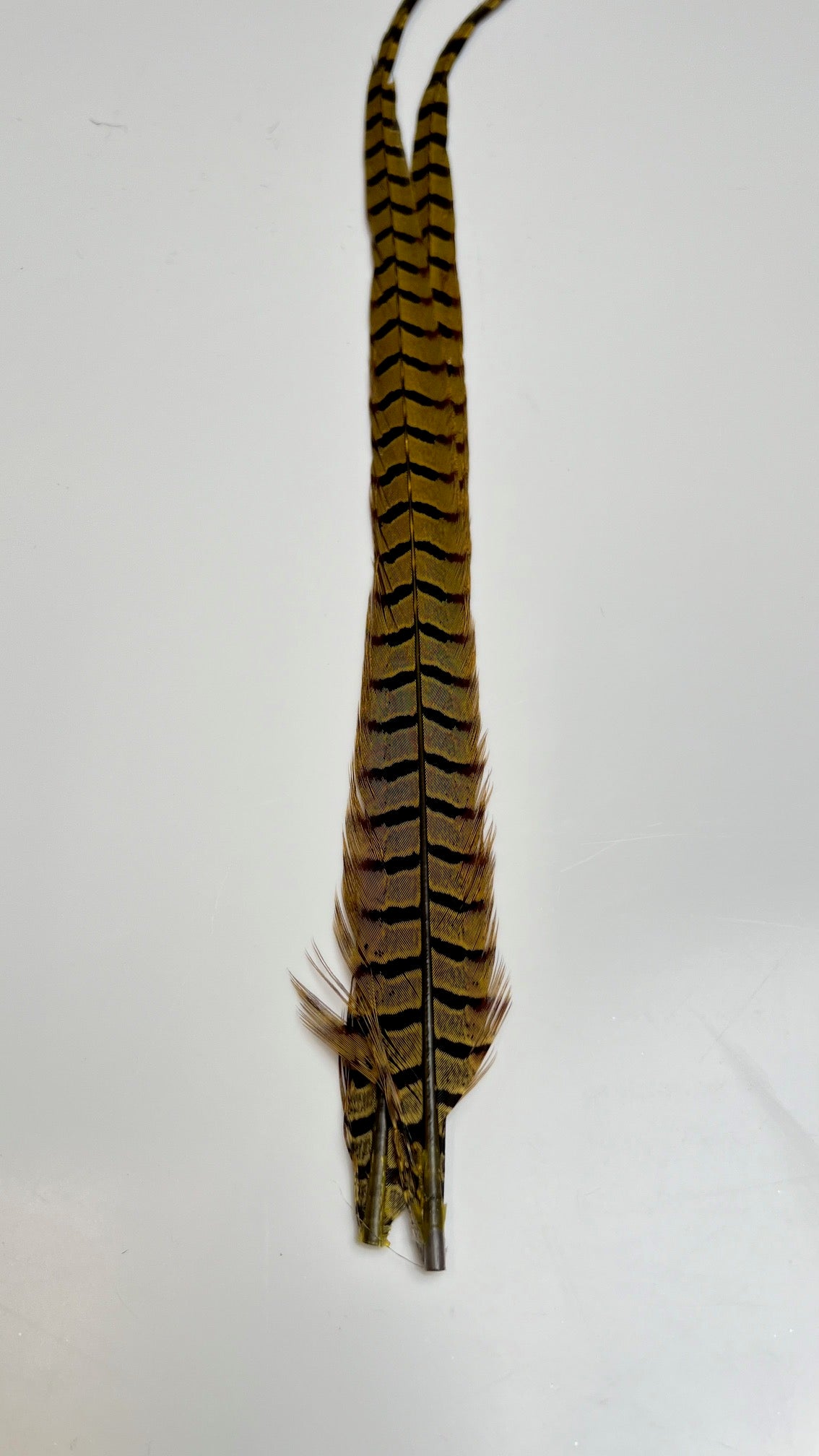 Pheasant Tail Center Pairs - Feathers & Marabou - Fly Fish Food