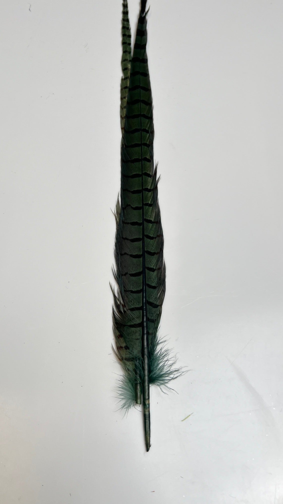 Pheasant Tail Center Pairs - Feathers & Marabou - Fly Fish Food