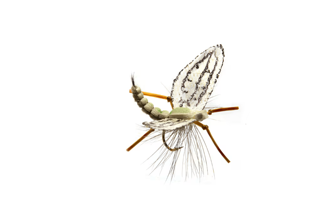 Spotts' Western Green Drake - Flies - Fly Fish Food