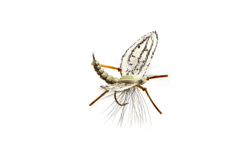 Spotts' Western Green Drake - Flies - Fly Fish Food