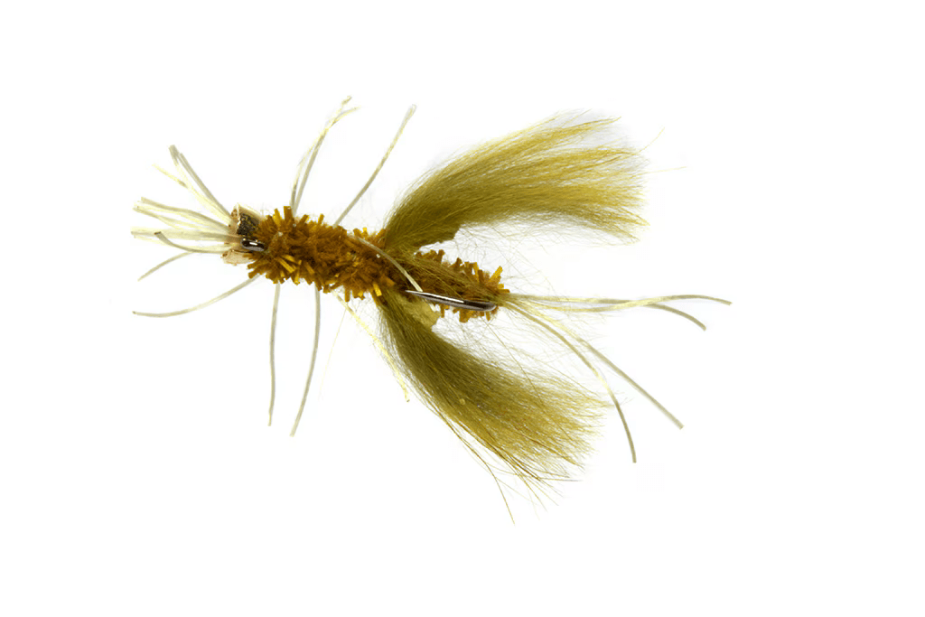 Jorgensen's Claw Dawg Olive - Flies - Fly Fish Food