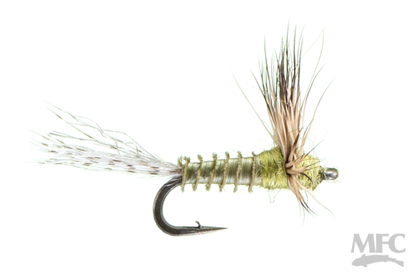 Biot Sparkle Dun - Psuedo