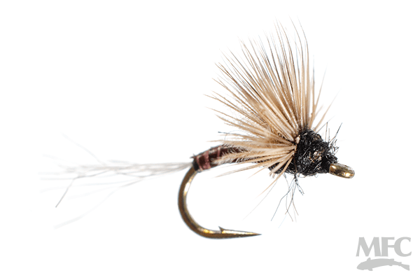 Steve's Sipper Dun - Trico - Flies - Fly Fish Food