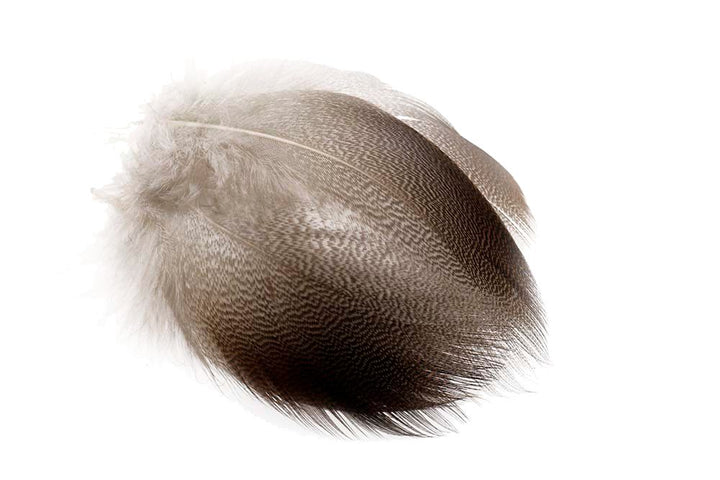 Bronze Mallard Flank - Feathers & Marabou - Fly Fish Food