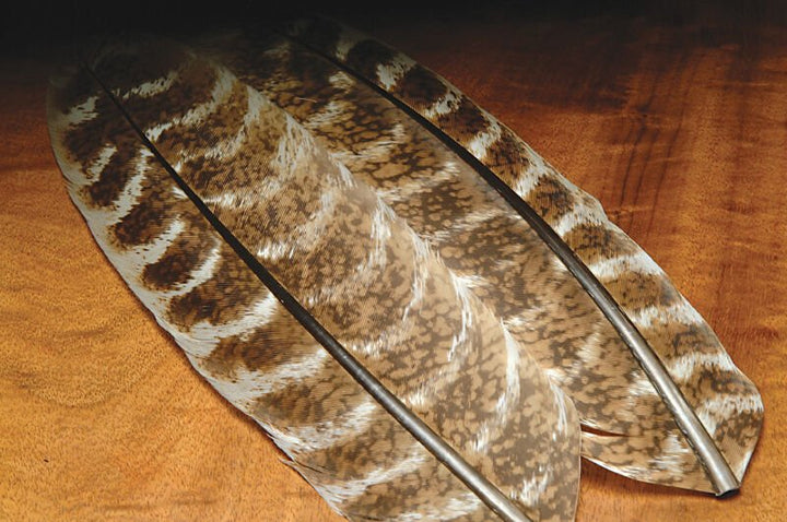 Ozark Oak Mottled Turkey Quills - Feathers & Marabou - Fly Fish Food