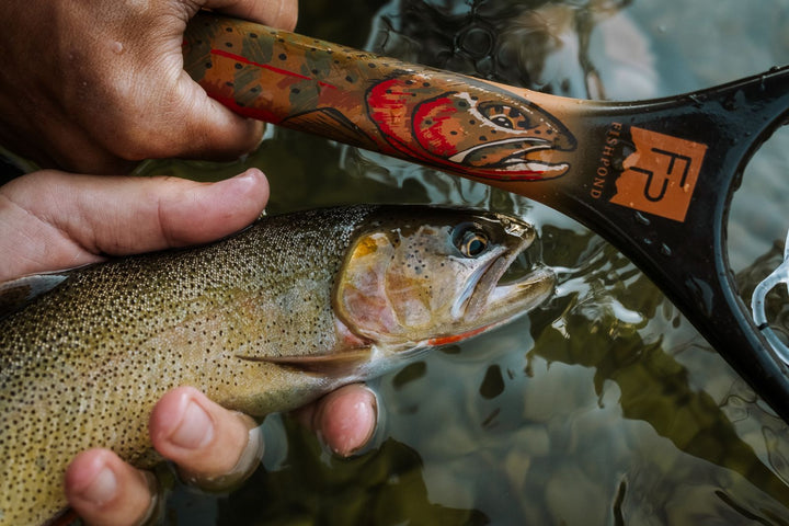 Fishpond Nomad Canyon Net - Colorado Cutty - Nets & Accessories - Fly Fish Food