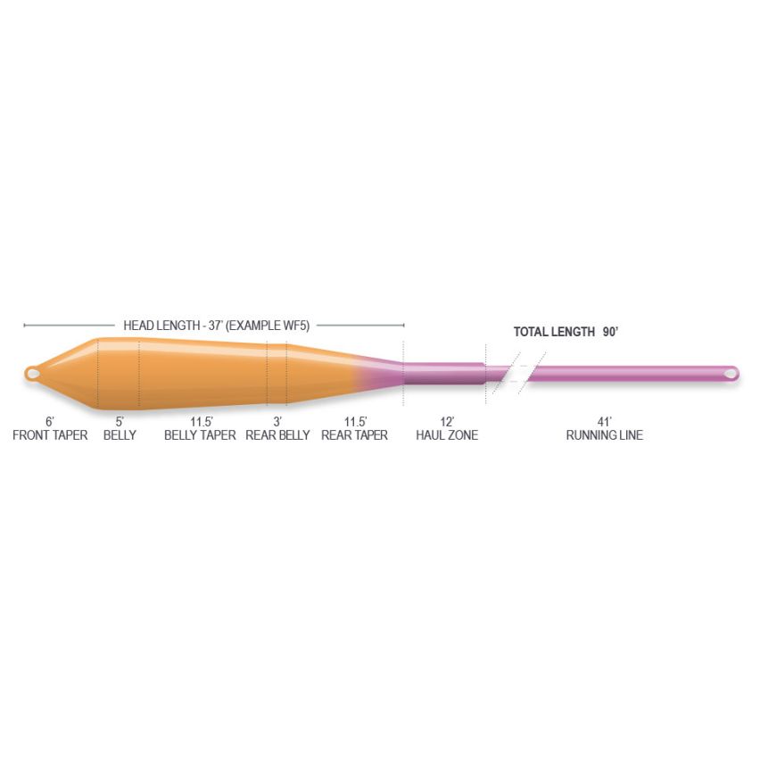Airflo Superflo Ridge 2.0 Power Taper Fly Line - Sunburst/Purple