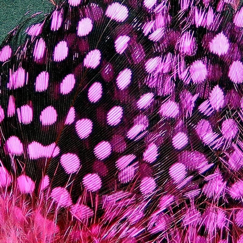 Strung Guinea Feathers