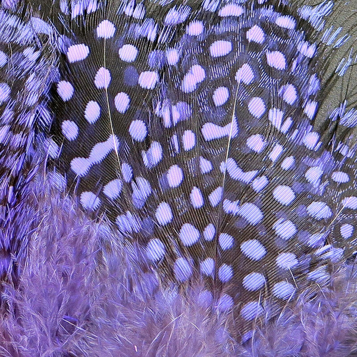 Strung Guinea Feathers