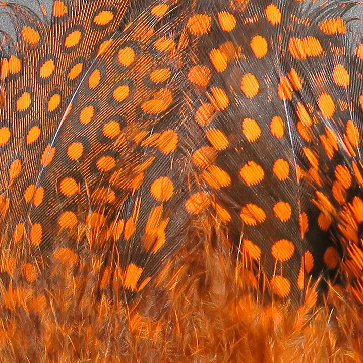 Strung Guinea Feathers