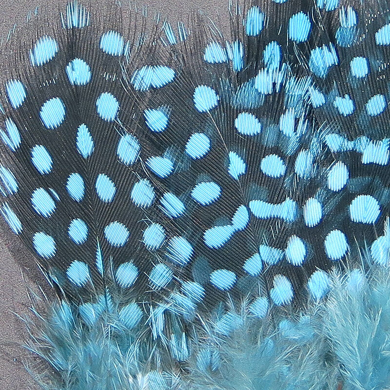 Strung Guinea Feathers