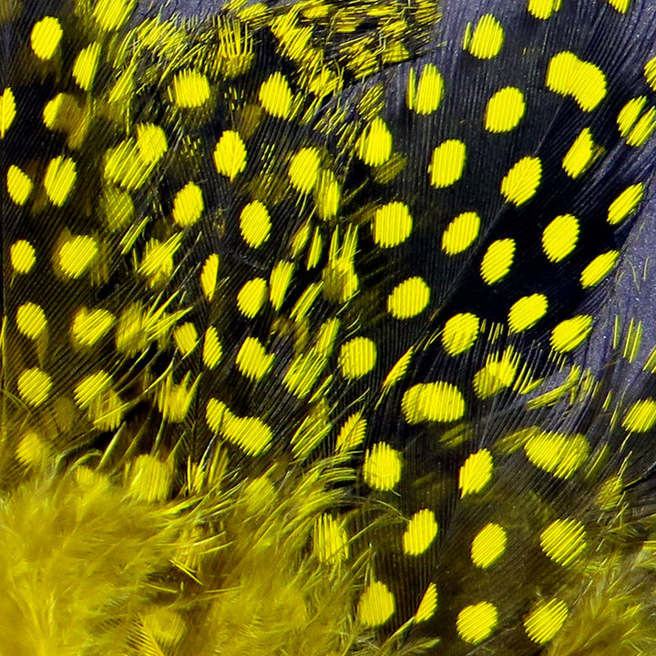 Strung Guinea Feathers