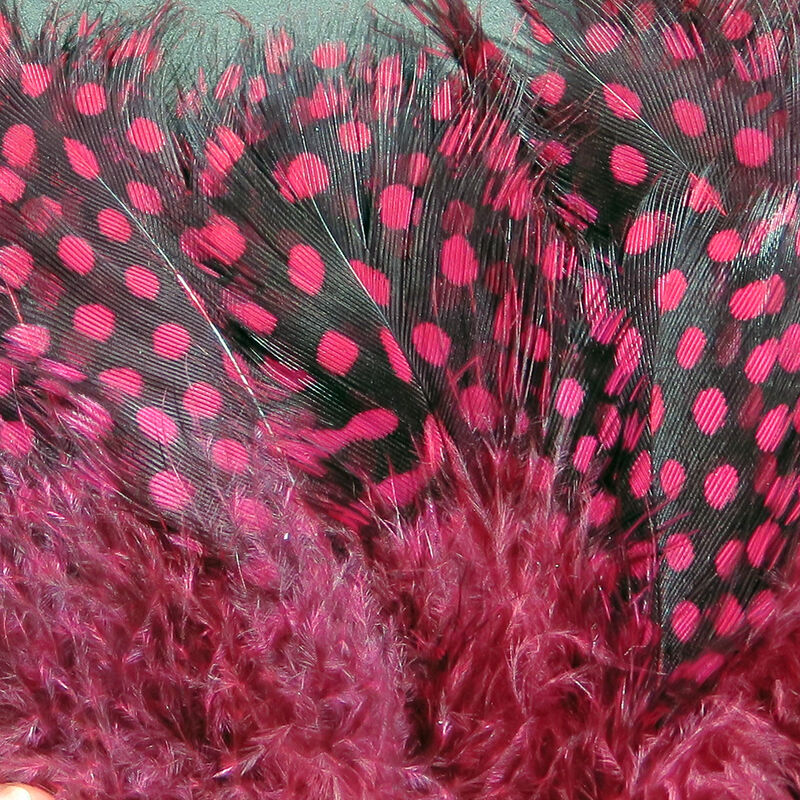 Strung Guinea Feathers