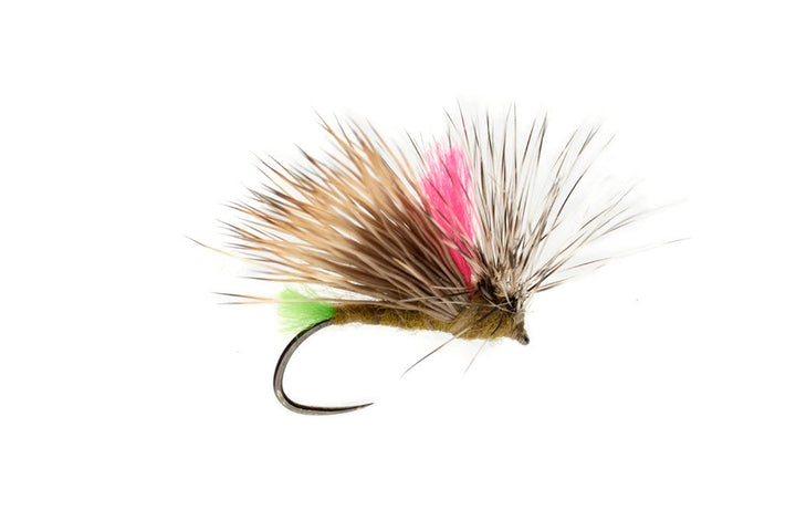 Olsen's Front End Loader Caddis - Tan - Flies - Fly Fish Food