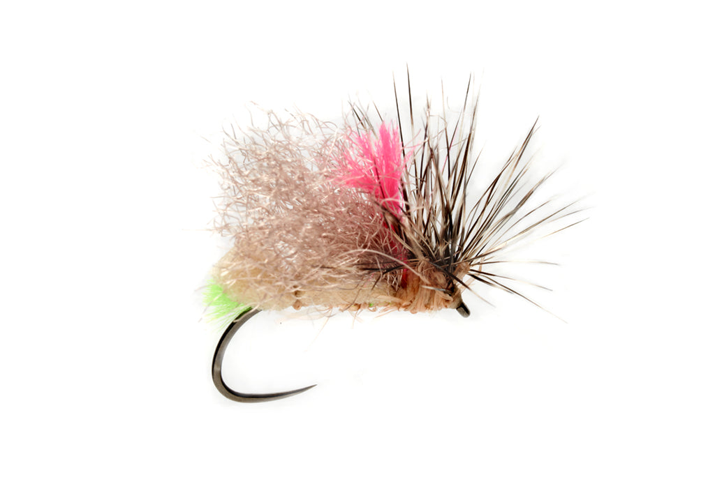 Olsen's Foam Front End Loader Caddis - Tan