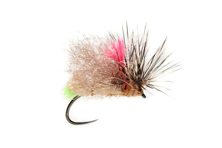 Olsen's Foam Front End Loader Caddis - Tan - Flies - Fly Fish Food