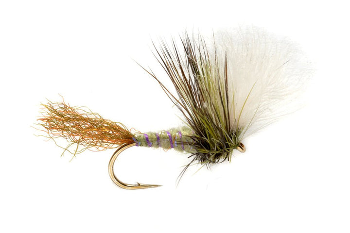 Keegan's Kripple - Flies - Fly Fish Food