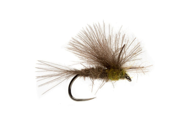 Elden's CDC BWO Emerger - Flies - Fly Fish Food