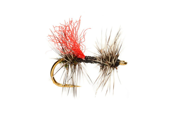 Rosenbauer's Double Griffith's - Flies - Fly Fish Food