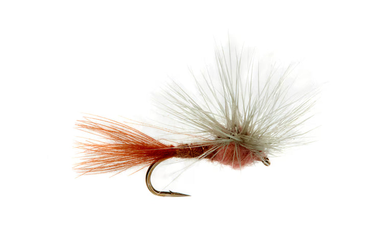 Keegan's Stacked PMD Pink Double D