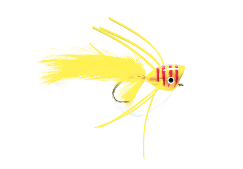 Bass Popper Yellow & Red 6