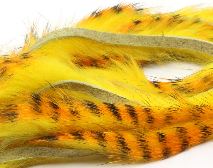 Barred Polychrome Rabbit Strips