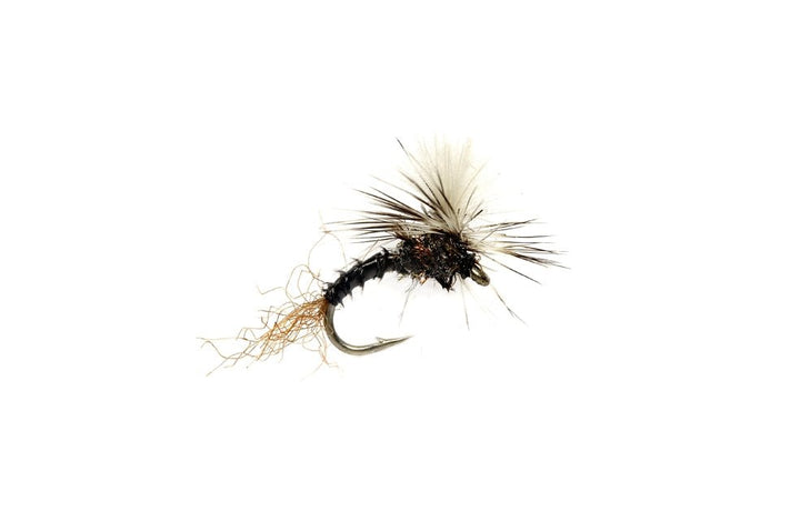 Birchell's Hatch Midge - Black - Flies - Fly Fish Food
