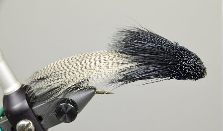 Galloup's Zoo Cougar - Black - Flies - Fly Fish Food