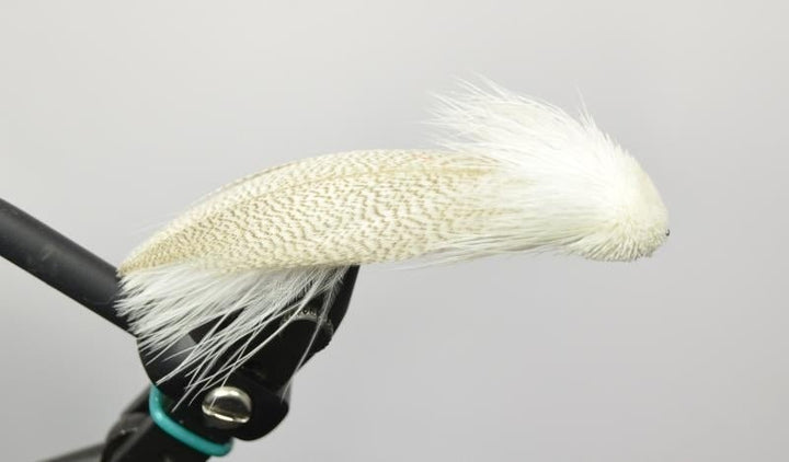 Galloup's Zoo Cougar - White - Flies - Fly Fish Food