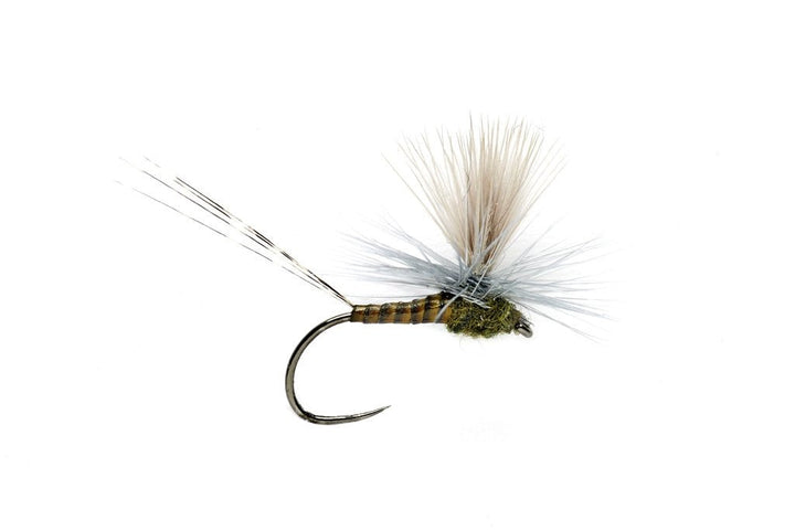 LEXI'S GET 'ER DUN MAY BWO BARBLESS - Flies - Fly Fish Food