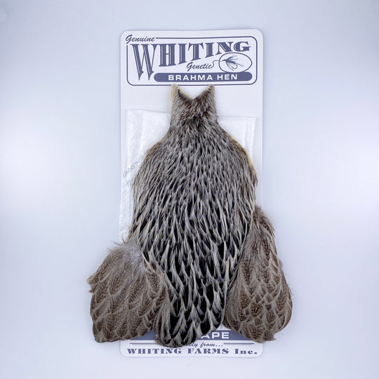 Whiting Brahma Hen Cape for Soft Hackles