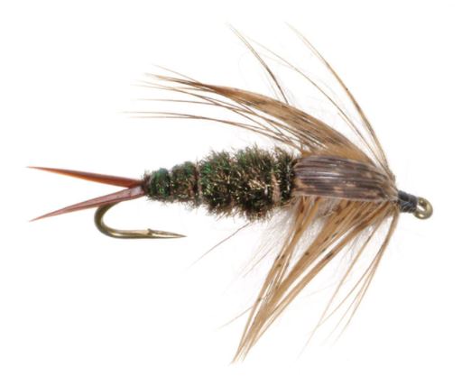 20 Incher Stonefly