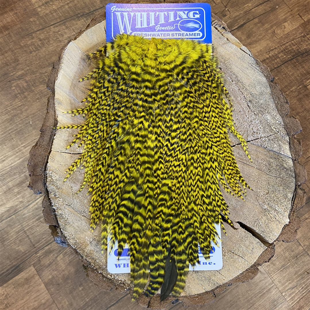 Whiting Freshwater Streamer Saddle - Schlappen/Bugger