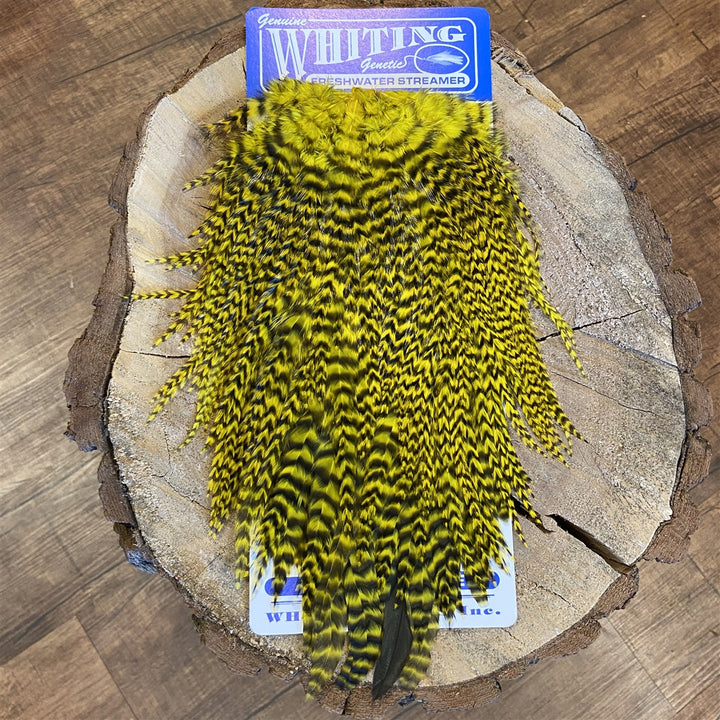 Whiting Freshwater Streamer Saddle - Schlappen/Bugger