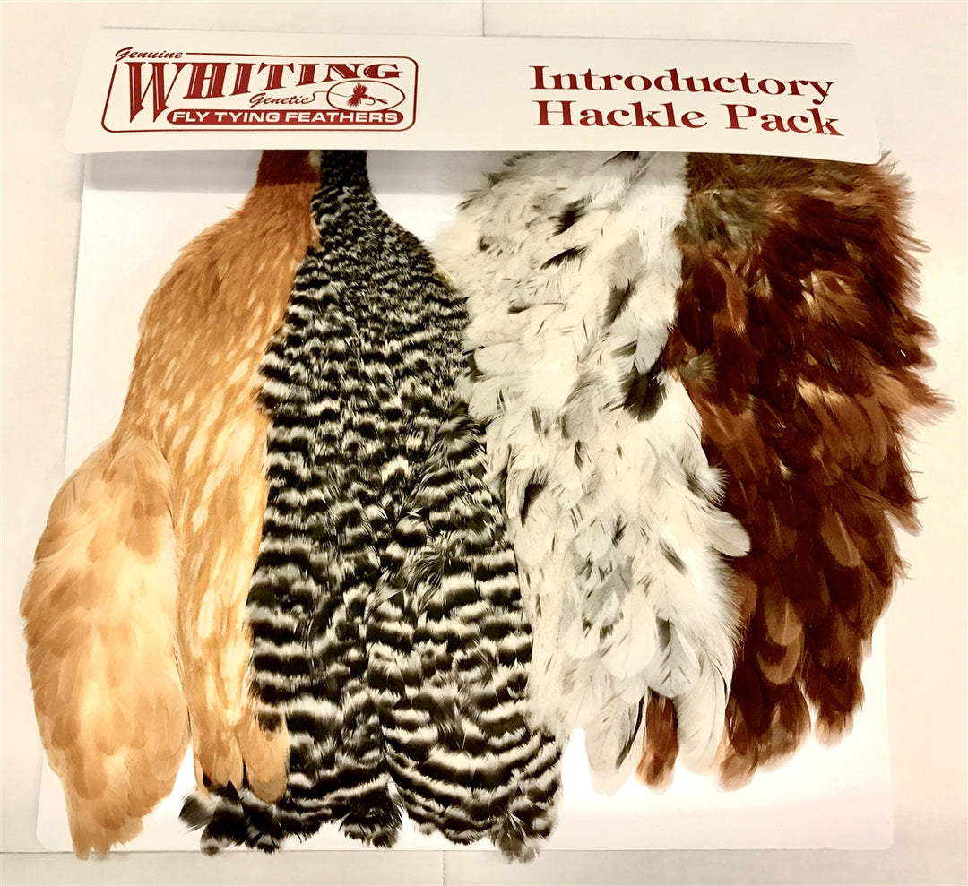 Whiting Soft Hackle Intro Pack
