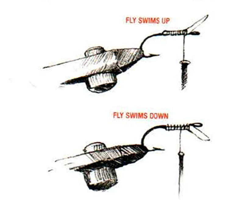 Flylipps
