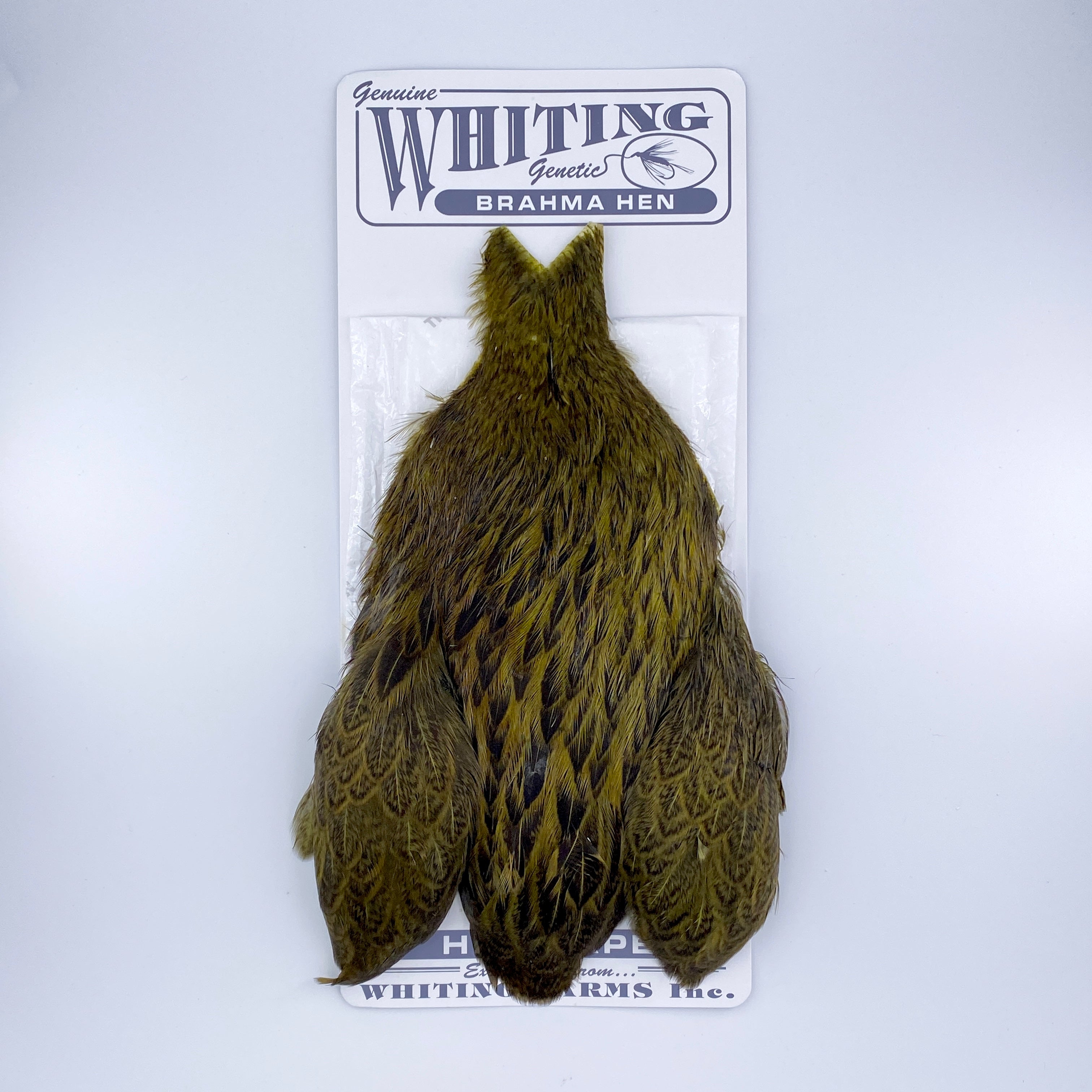 Whiting Brahma Hen Cape for Soft Hackles