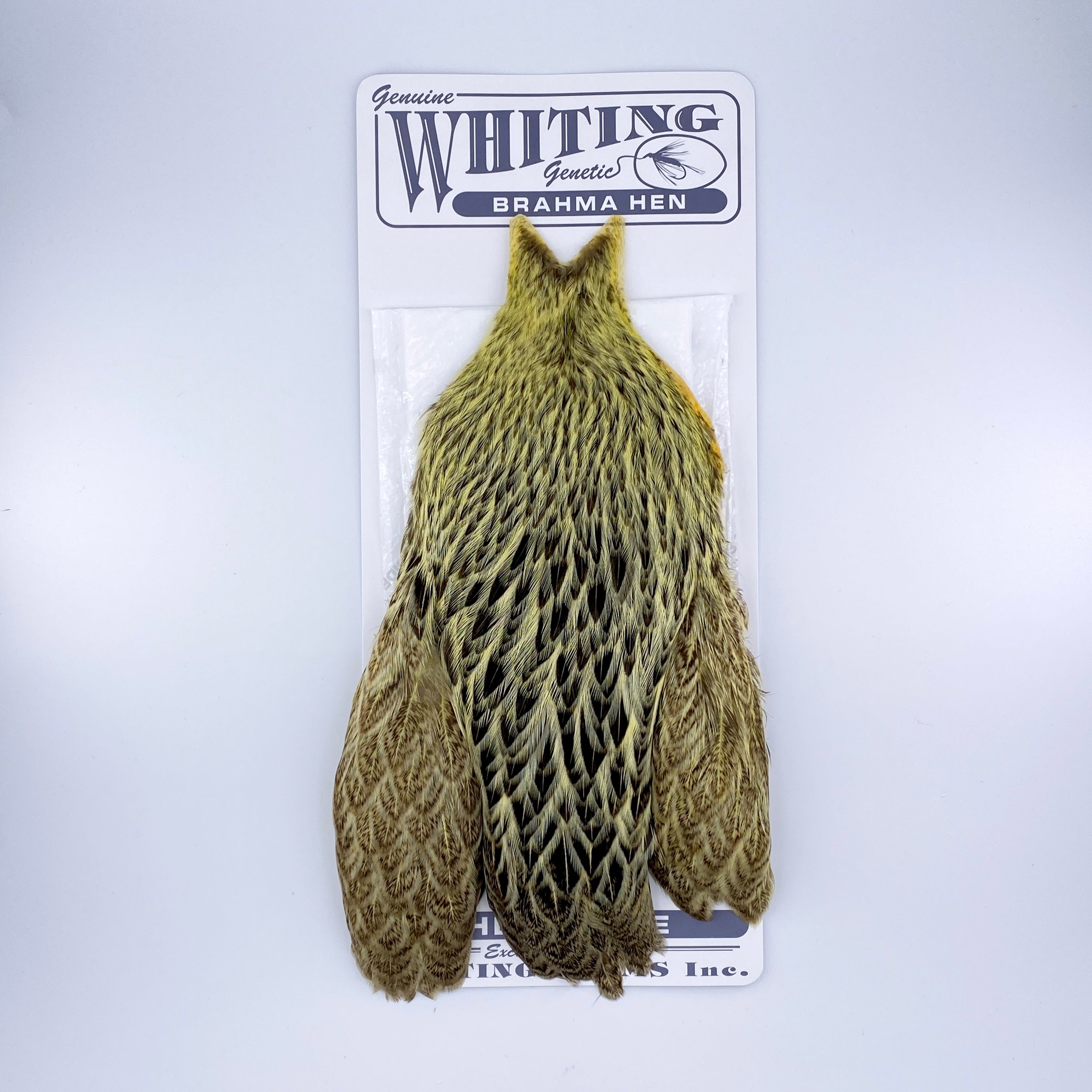 Whiting Brahma Hen Cape for Soft Hackles