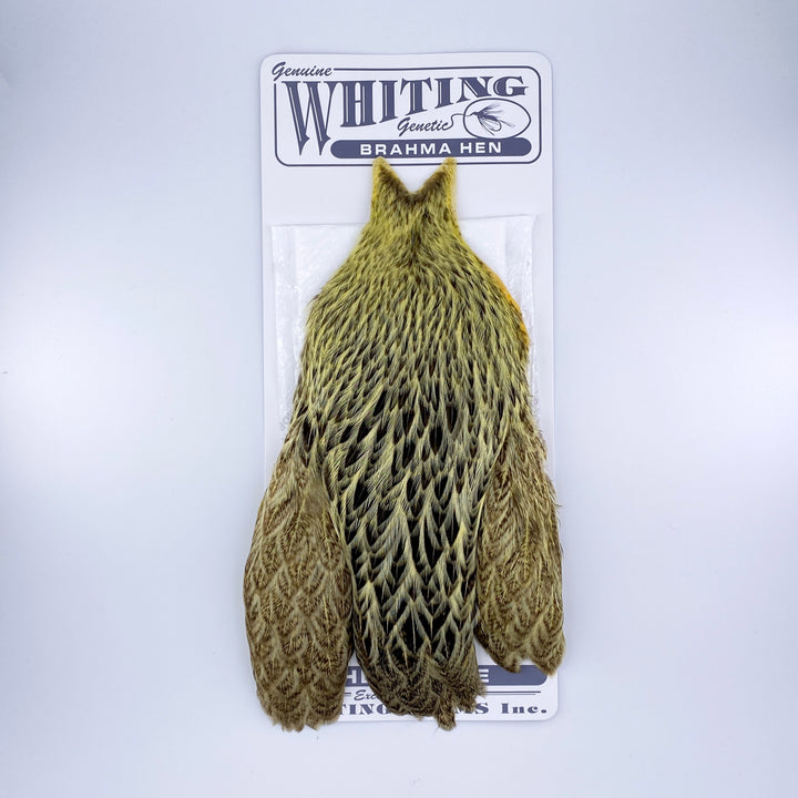 Whiting Brahma Hen Cape for Soft Hackles