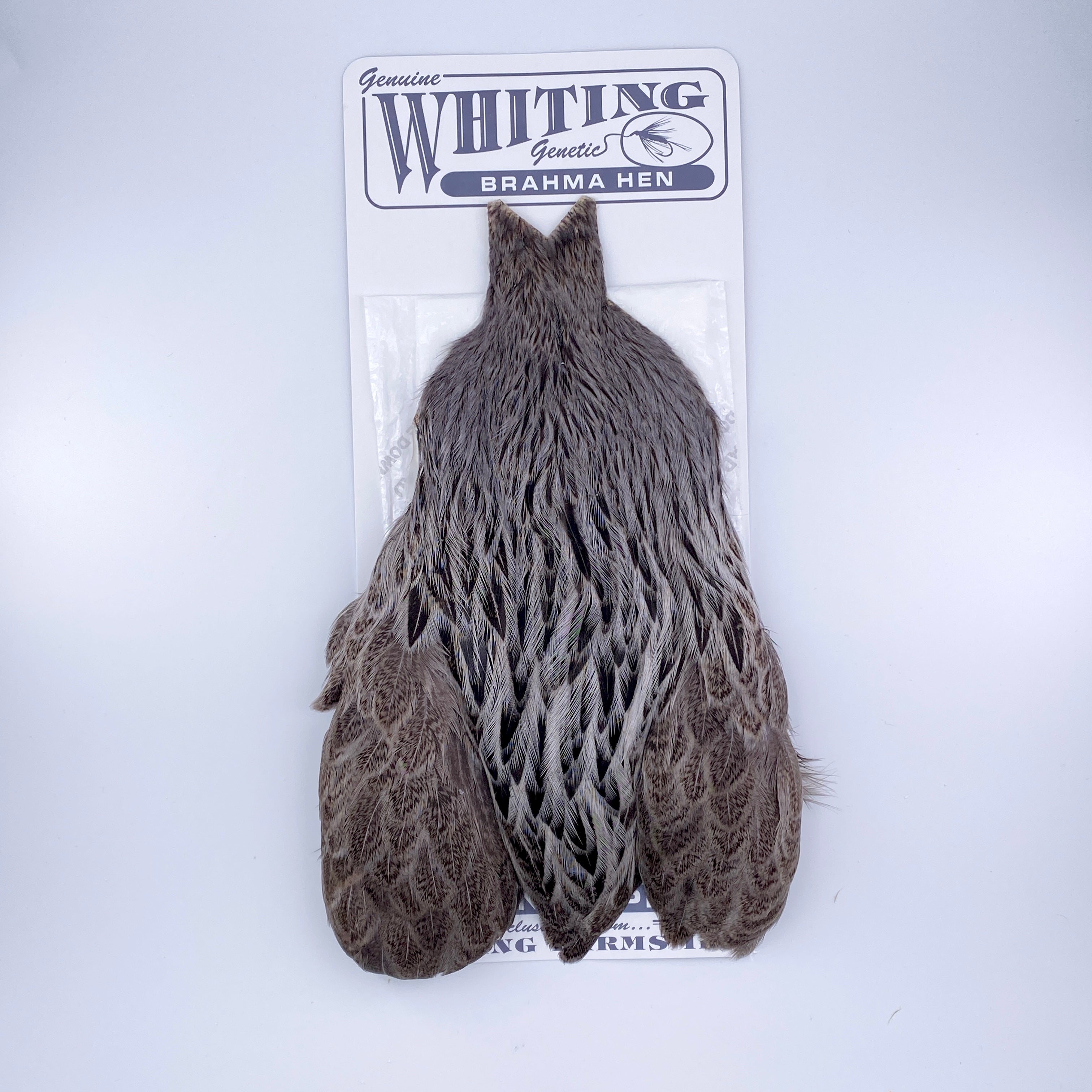 Whiting Brahma Hen Cape for Soft Hackles