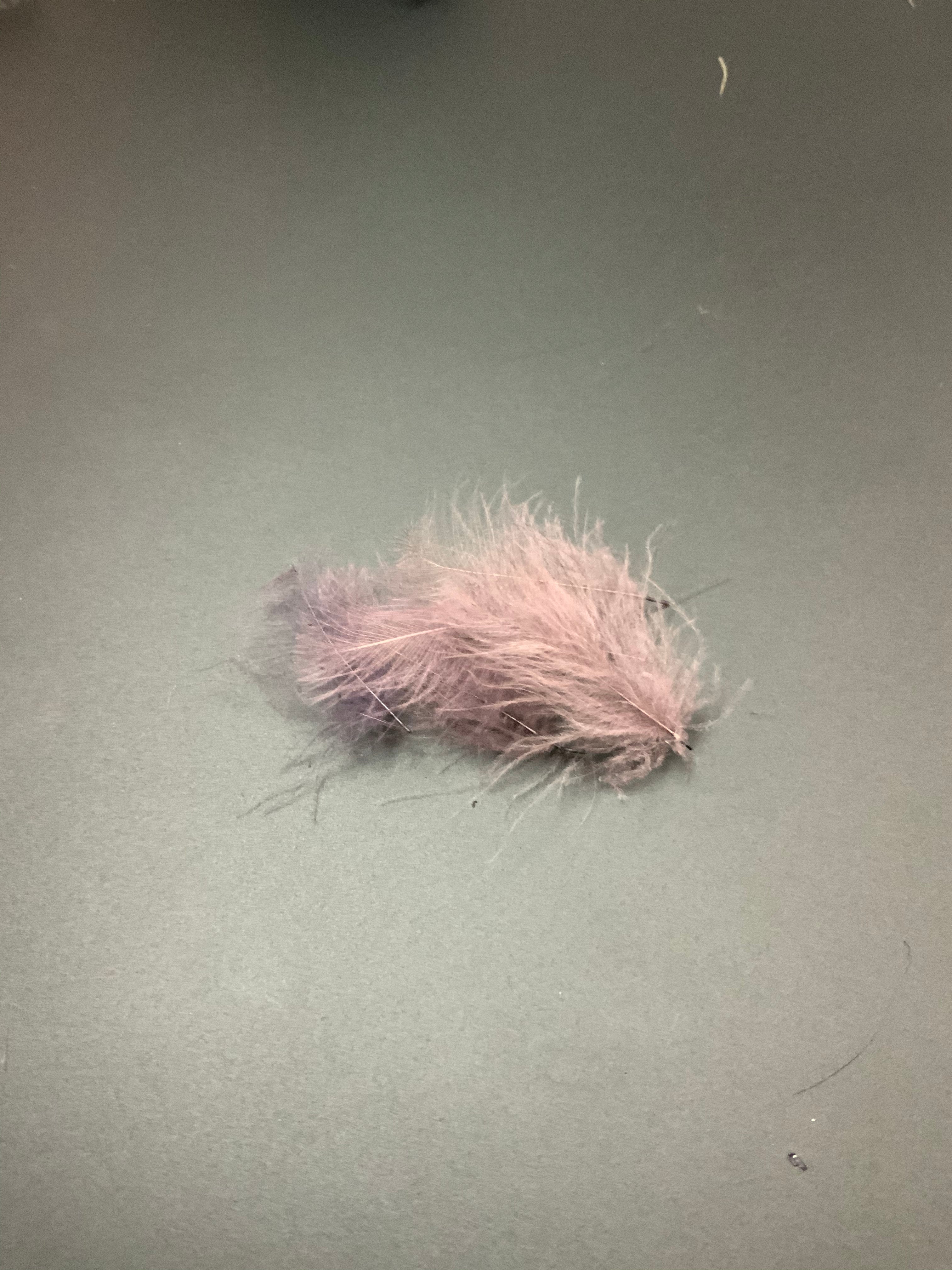 Fly Fish Food “Duck Butt” CDC