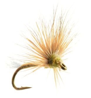 Beatis Pattern Top 10 Baetis BWO Fly Patterns – Fly Fish Food