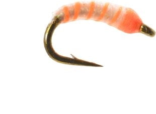Neon Nightmare FL. Orange