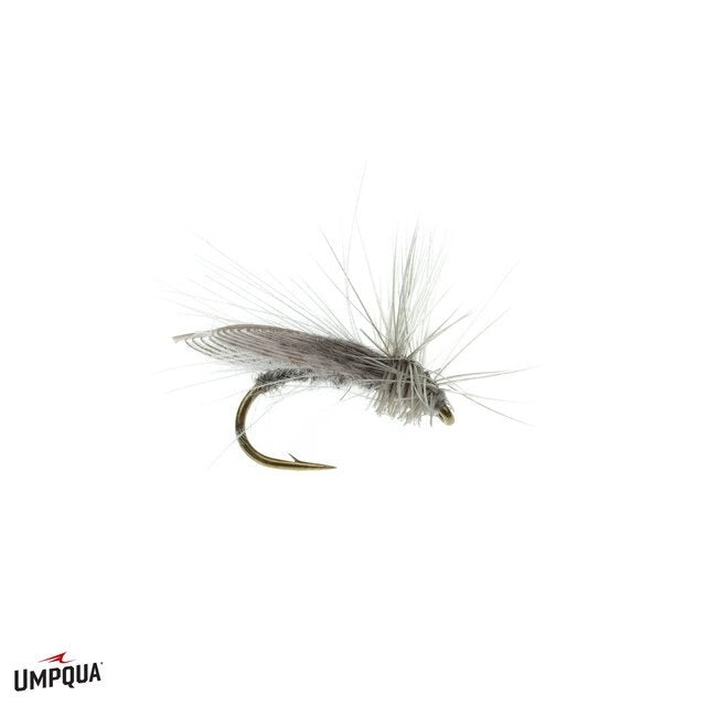 Resting Caddis - Gray