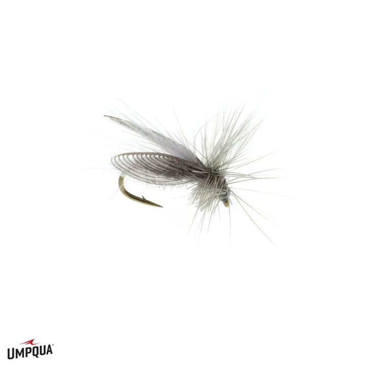 Resting Caddis - Gray