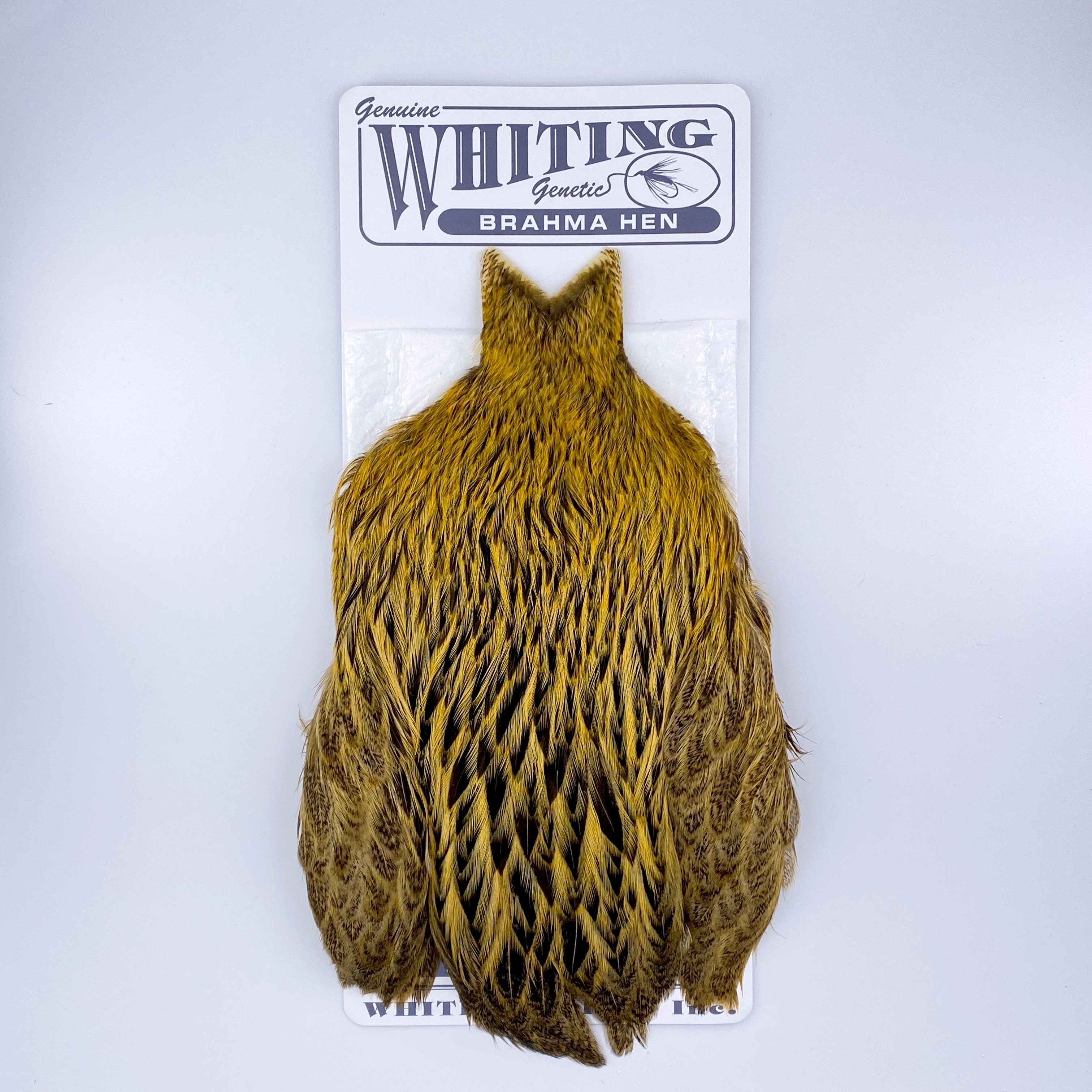 Whiting Brahma Hen Cape for Soft Hackles