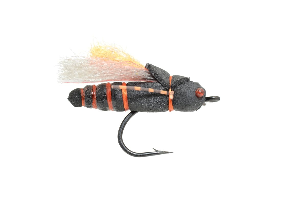 Project Cicada 4