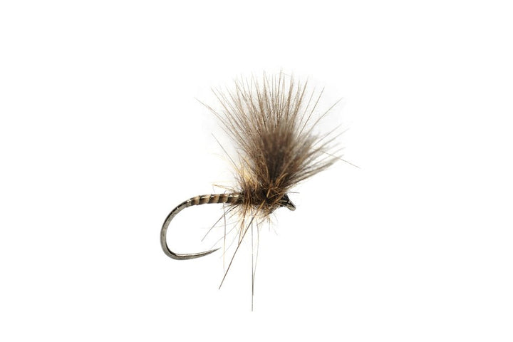 ROZA'S QUILL V - WING - Flies - Fly Fish Food